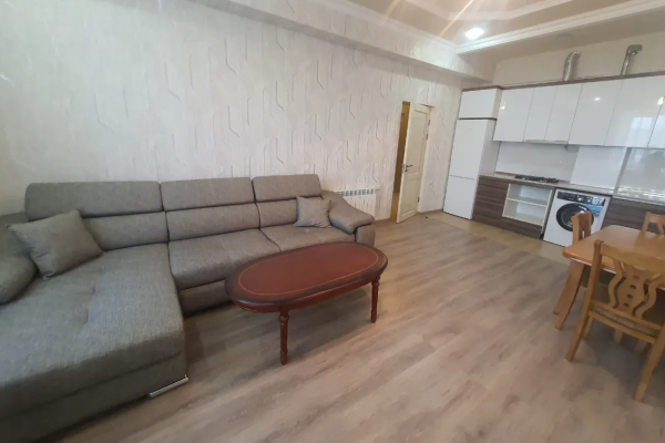 Արգիշտի